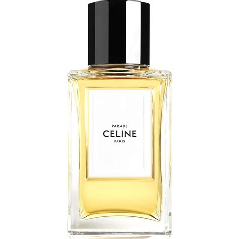 Shop Celine for Women Online in Kuwait .